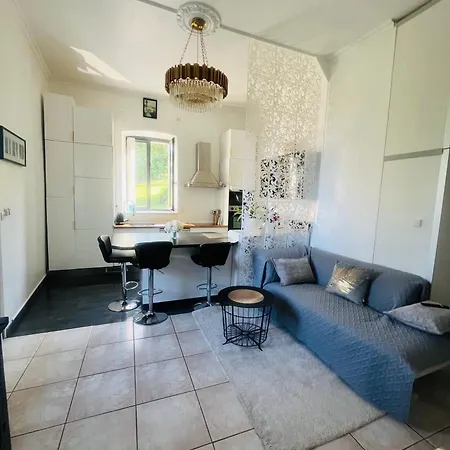 Apartment A Cote De Geneve 1