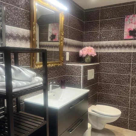Appartement A Coté De Genève 1 *